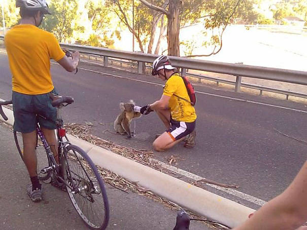 4. When this cyclist sacrificed his track time to give a Koala bear something to drink.