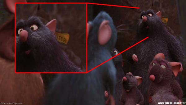 An ear tag in Ratatouille.