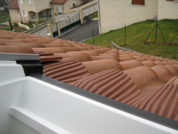 The view from the attic window.