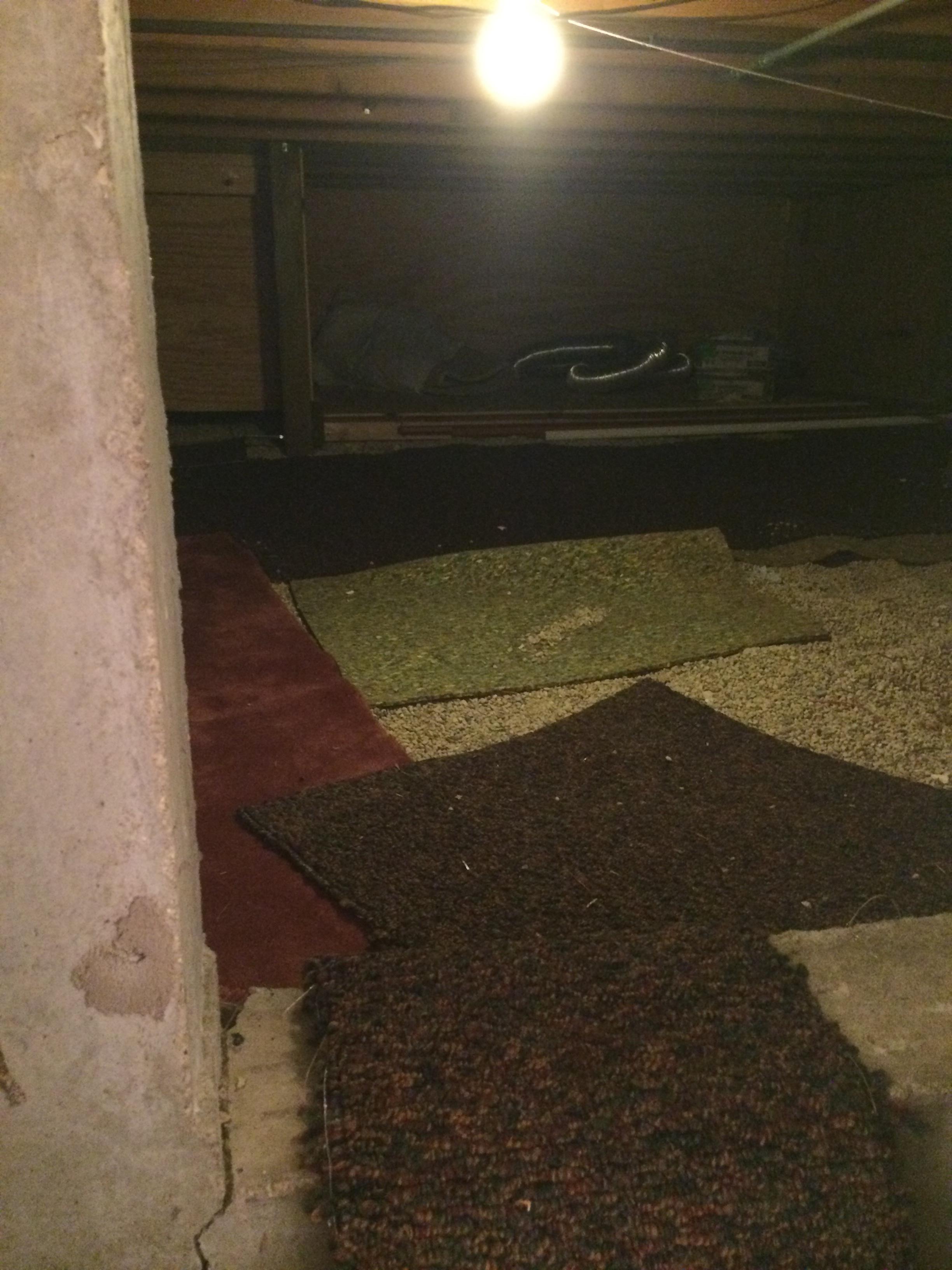 For an area meant to just store a hot water heater, it's surprisingly nice, carpet included.