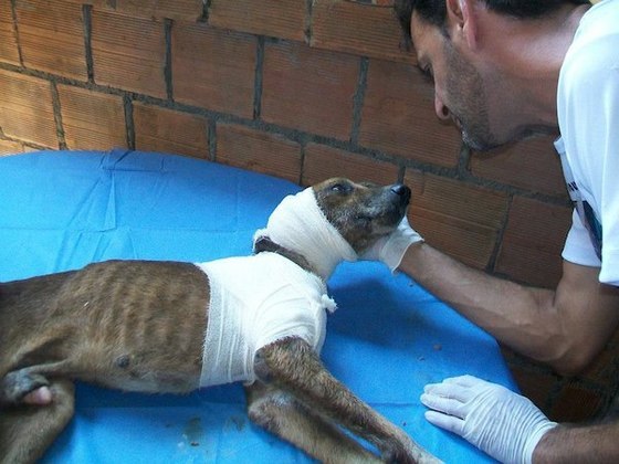 You could see the appreciation on Francisco's face.