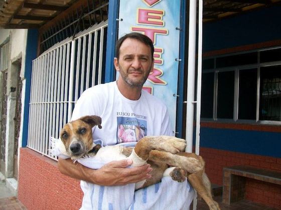 But so did a trip to the vet.