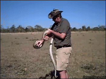 34.) You should never trust snakes.