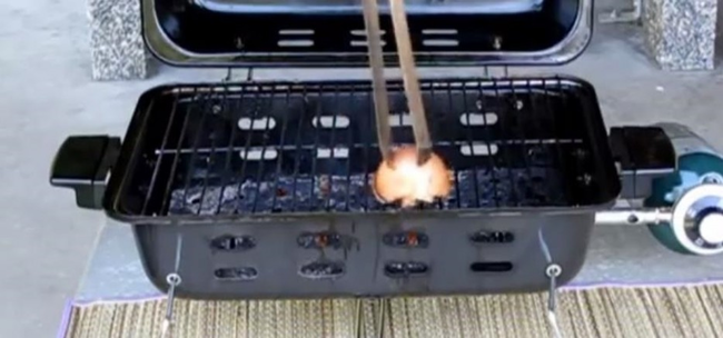 Onion Grill Cleaner.