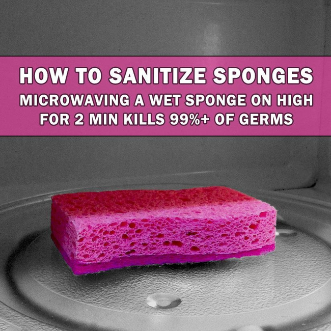 Sponge Sanitzer.