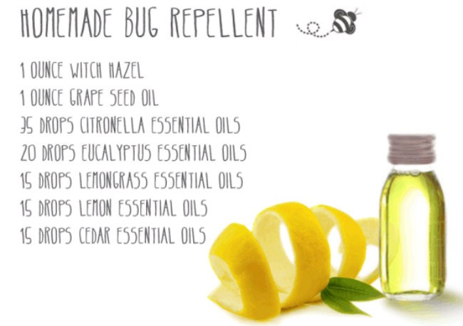 Organic Bug Repellent