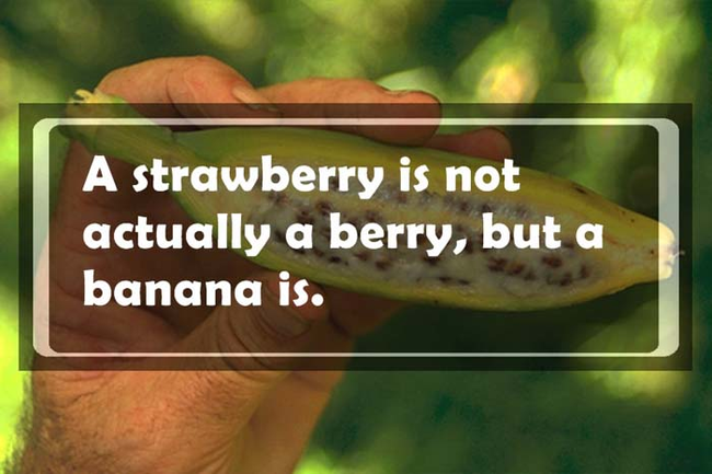 That's berry good to know.