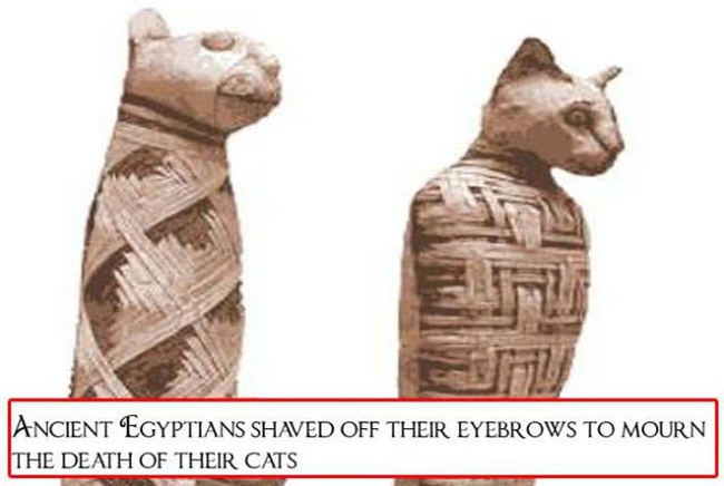 That's a bit dramatic, don't you think?