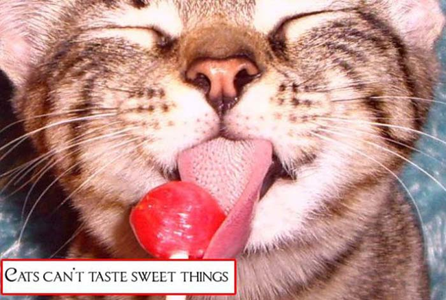 More candy for me then.