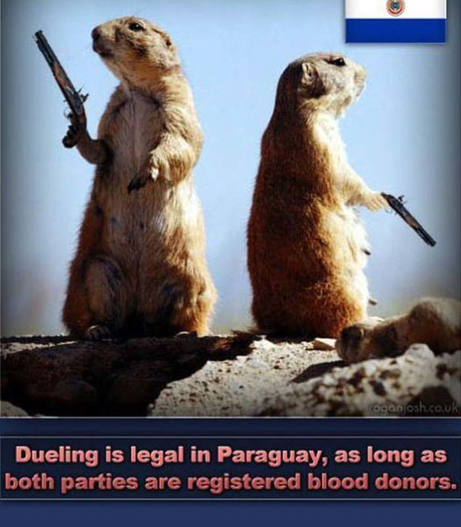 This has got to be the best picture ever.