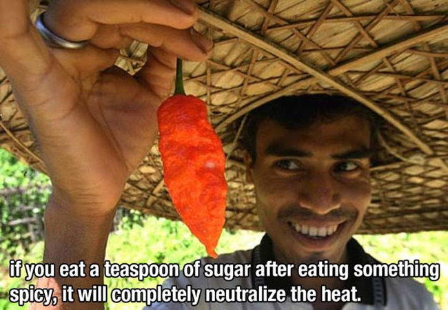 That's a nice little life hack.