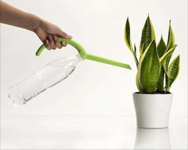 Water bottle to watering can.