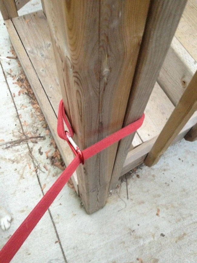 Use a carabiner to secure your dogs leash when wrapping it around a tree, pole, or post.
