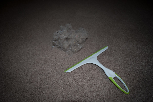 Use a squeegee to get that hard-to-remove dog hair out of your carpets.