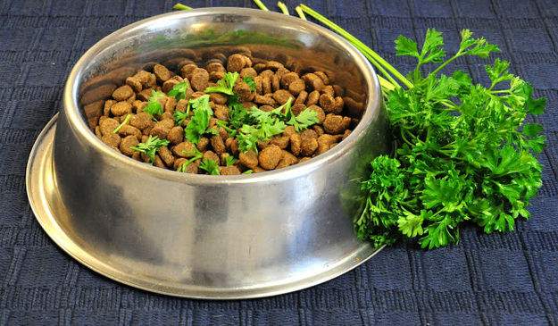 Put fresh parsley in your dog's food to give them better breath and an unshakeable sense of superiority.