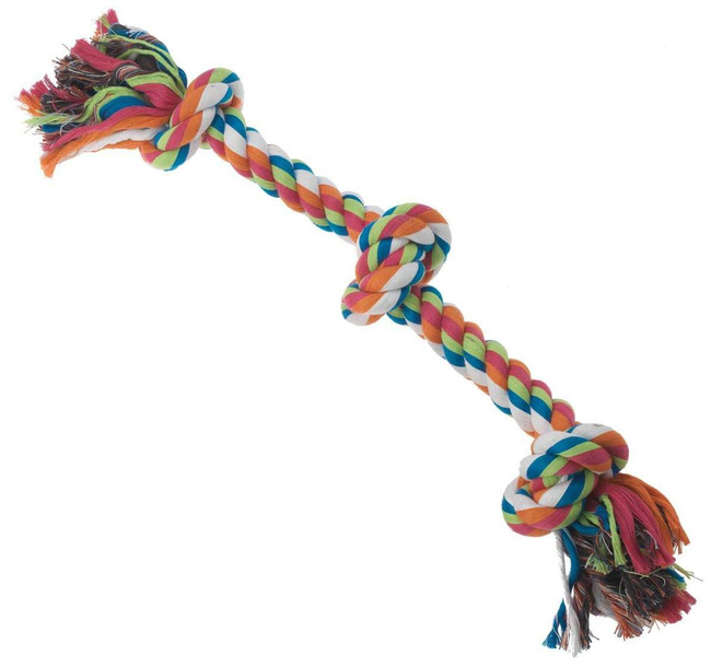 If your dog doesn't like having its teeth brushed, put some canine toothpaste on their favorite rope toy.
