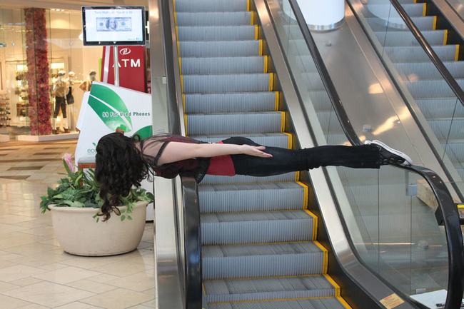 If your dog gets loose, lie down and pretend to be injured instead of chasing them.