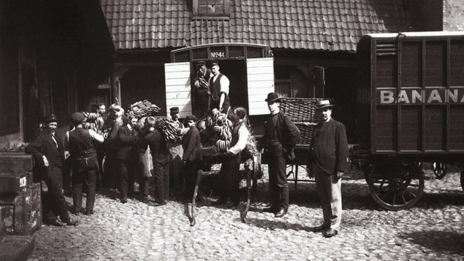 The first bananas arriving in Norway in 1905.