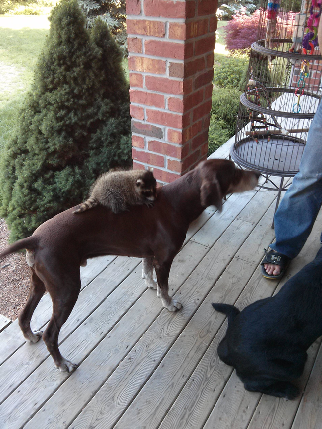 That's more like it!