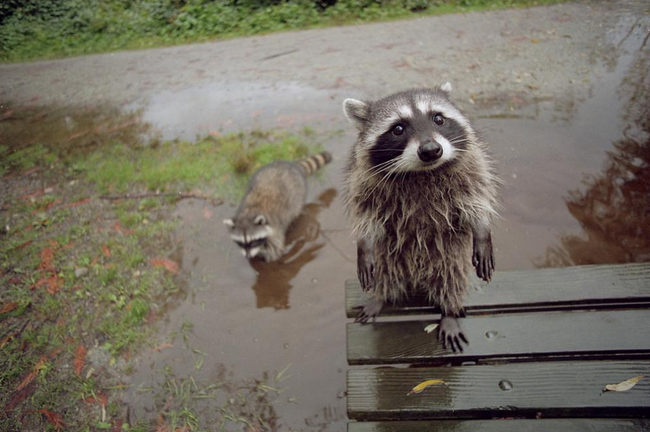 "What do you mean I can't come inside??"