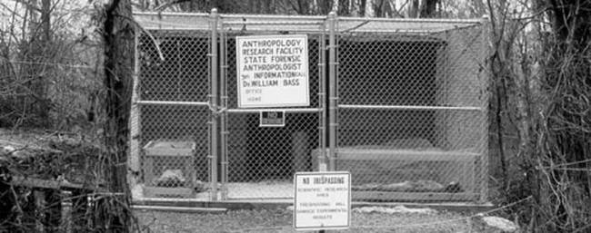 The Freeman Ranch is part of the Forensic Anthropology Center at Texas State University. It is one of the premier research institutes for studying how the human body decomposes.