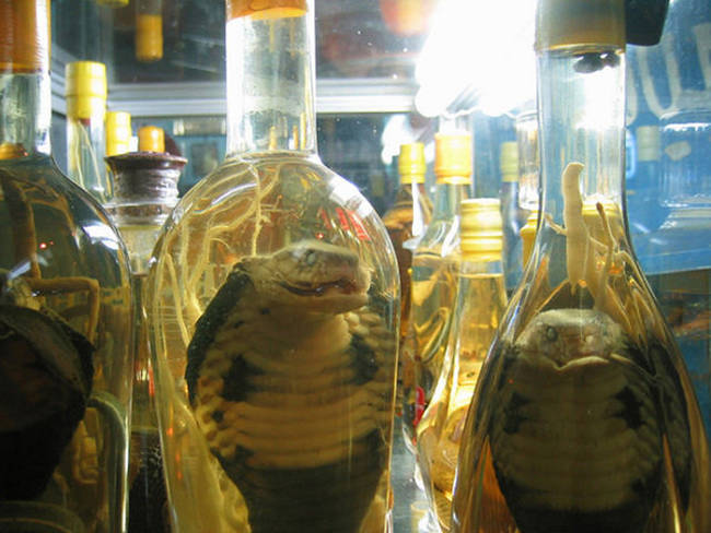 Snake Wine