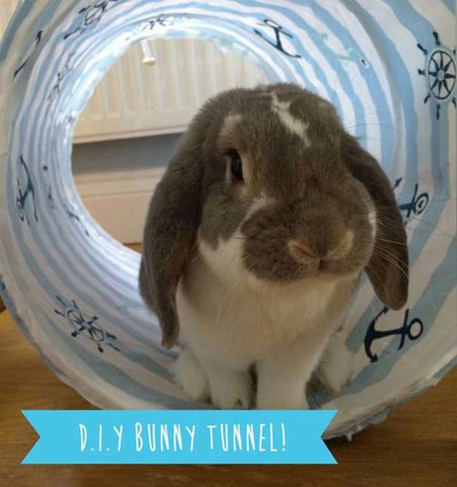 8.) Make a pop-up laundry basket bunny tunnel.