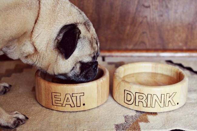7.) These engraved wooden dog bowls are stylish for your home.