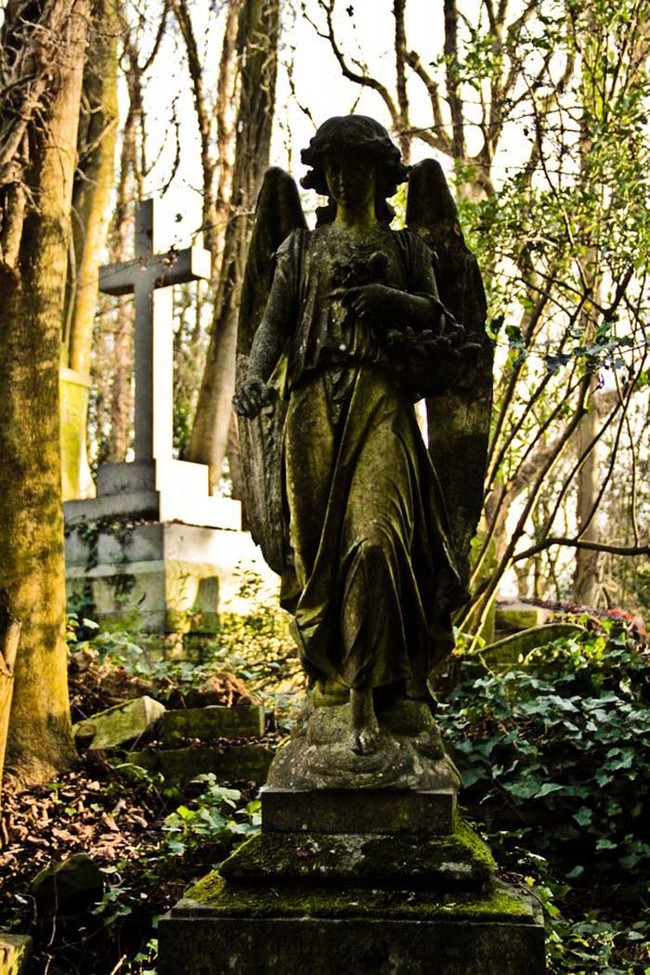 Bodies in Victorian cemeteries were frequently disturbed, dismembered, and destroyed. This was done by greedy gravediggers as a way to make room for new bodies. It was pretty common to find bones and rotting body parts scattered around graveyards as a result of careless, callous gravediggers.