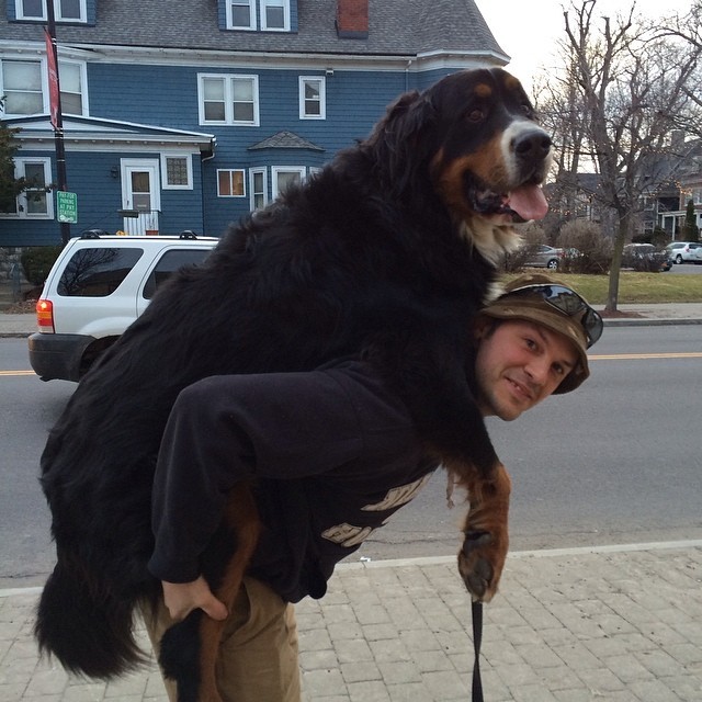 Don't you think you're a little big for that?