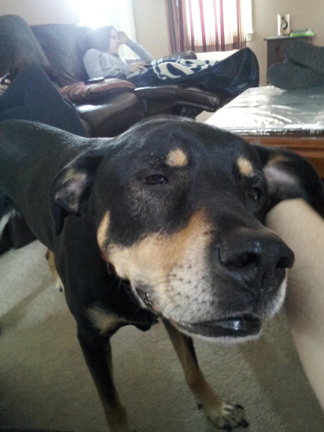 "Pssst! They don't know it, but I just peed a little on the couch."