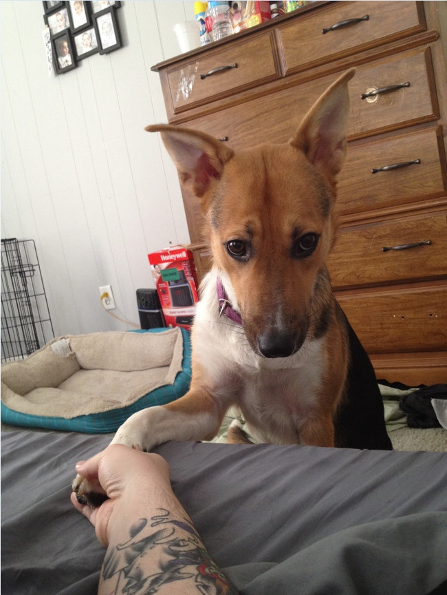 "Listen: I'm so sorry for what you're about to find in the kitchen."