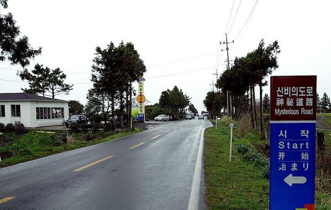 Mysterious Road - Jeju, South Korea