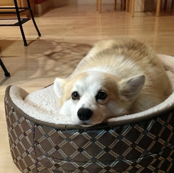 Who said you could melt my heart with that look?