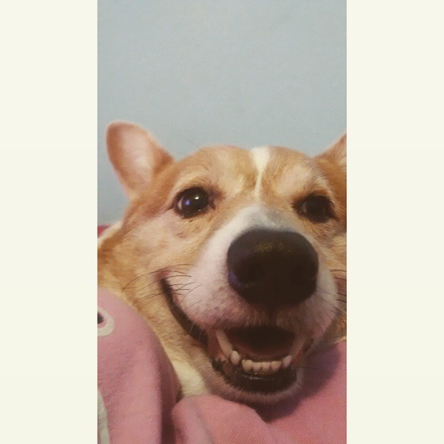 "I'm ready for my close-up!"