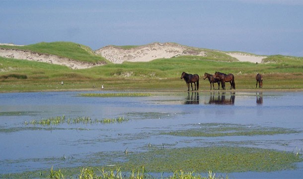 Sable Island