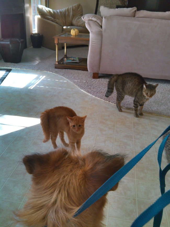 "He isn't staying...is he?"