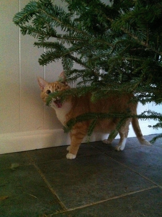 "OMG, I'm going to have SO MUCH FUN destroying this!!"