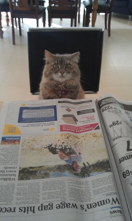 "Have you seen the stock market today?!"