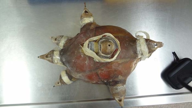 A shell was placed inside each of the helmet's hollow metal tubes. Then a nail was fitted at the end of each tube.