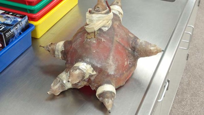 The entire helmet is also covered in a fiberglass/epoxy material that kept the helmet together when the shells fired.