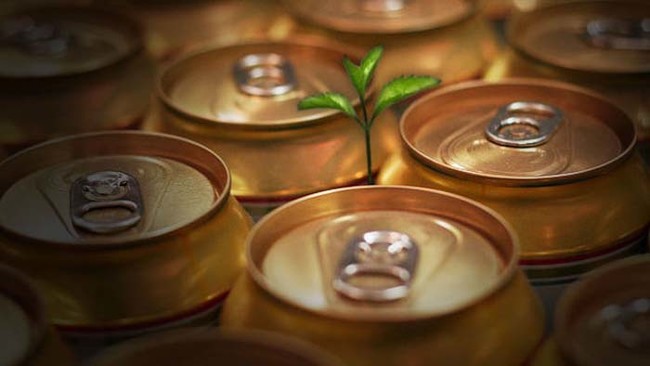 Make your plants grow strong with beer.