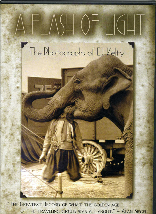 I know elephants aren't carnivorous, but does anyone else think about how easy it would be for one of them to swallow us whole?