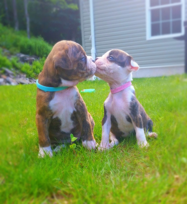 Let me check...yep, my heart is a puddle.