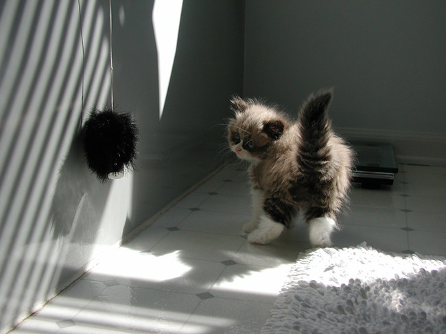 "I will destroy you."