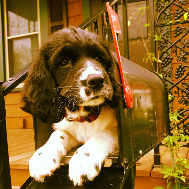 Don't worry, no one could ever get rid of you, little guy.