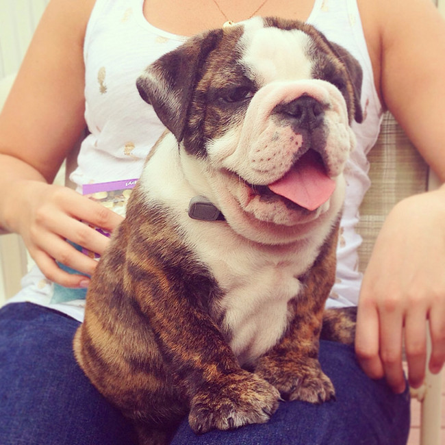 "Yeah, I know I'm hot stuff."