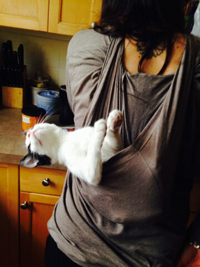 "Take me to the catnip!"