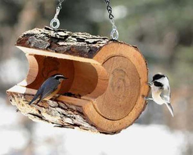 Bird feeder