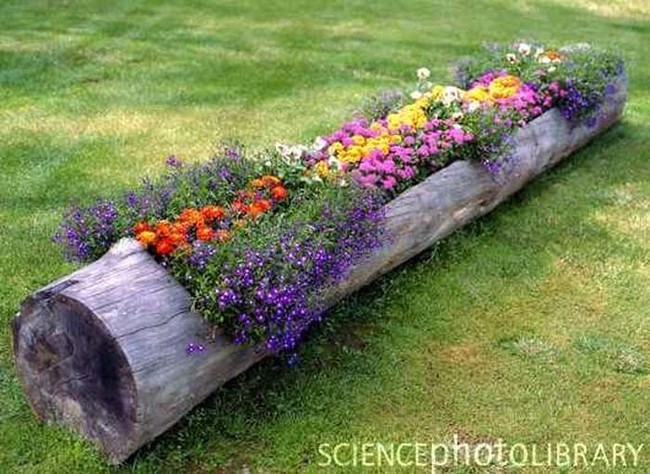 Flower planter